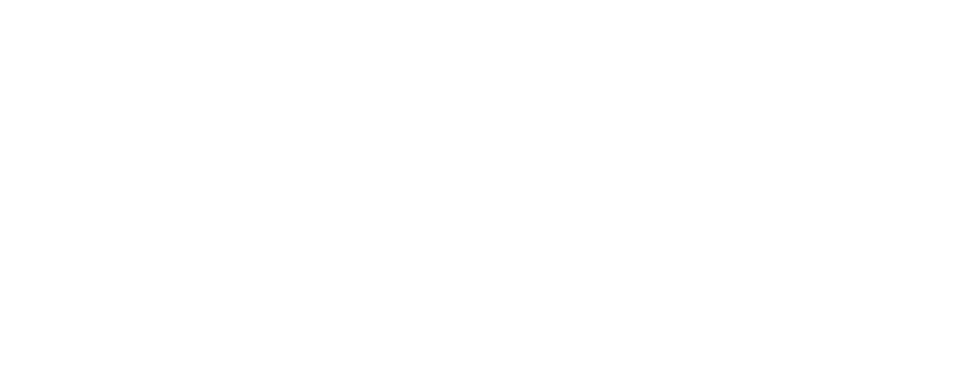 Solidflow Logo White